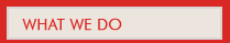 what-we_do